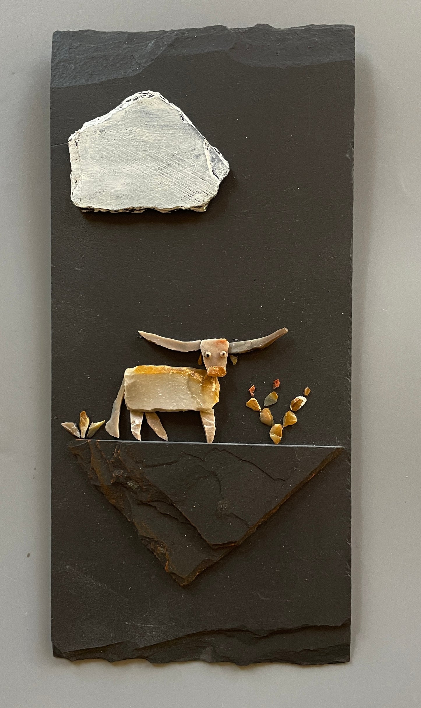 "Longhorn Series"   #6896