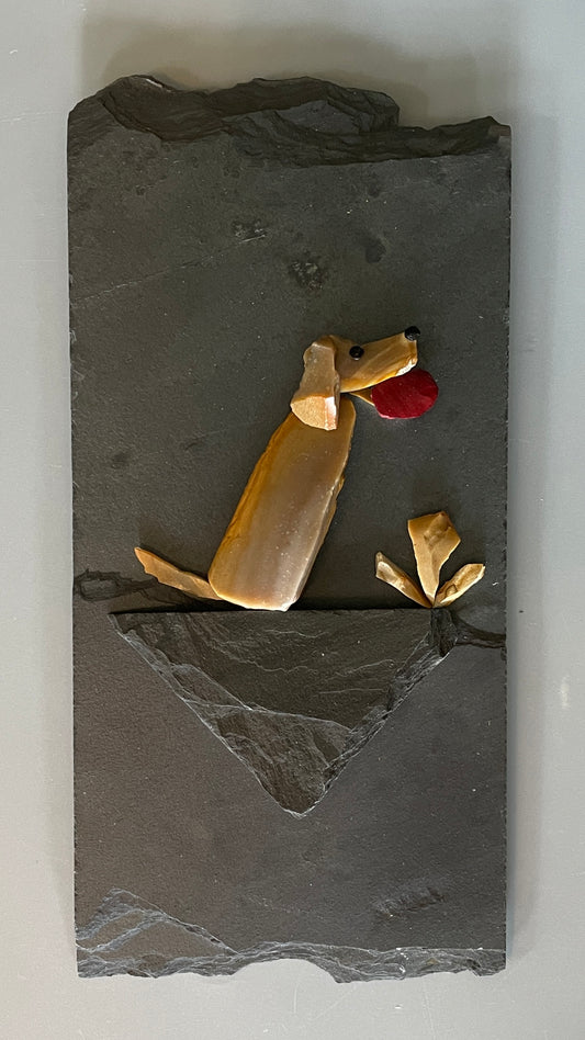 "Pet & Frisbee Series"   #7039