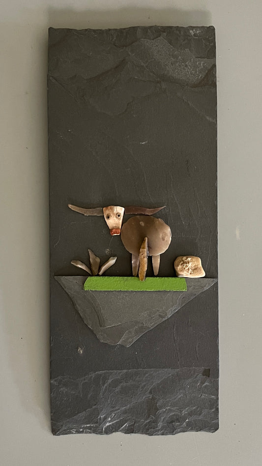"Longhorn Series"   #6969