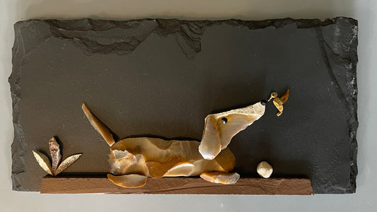 "Pet & Hummingbird Series"   #7037