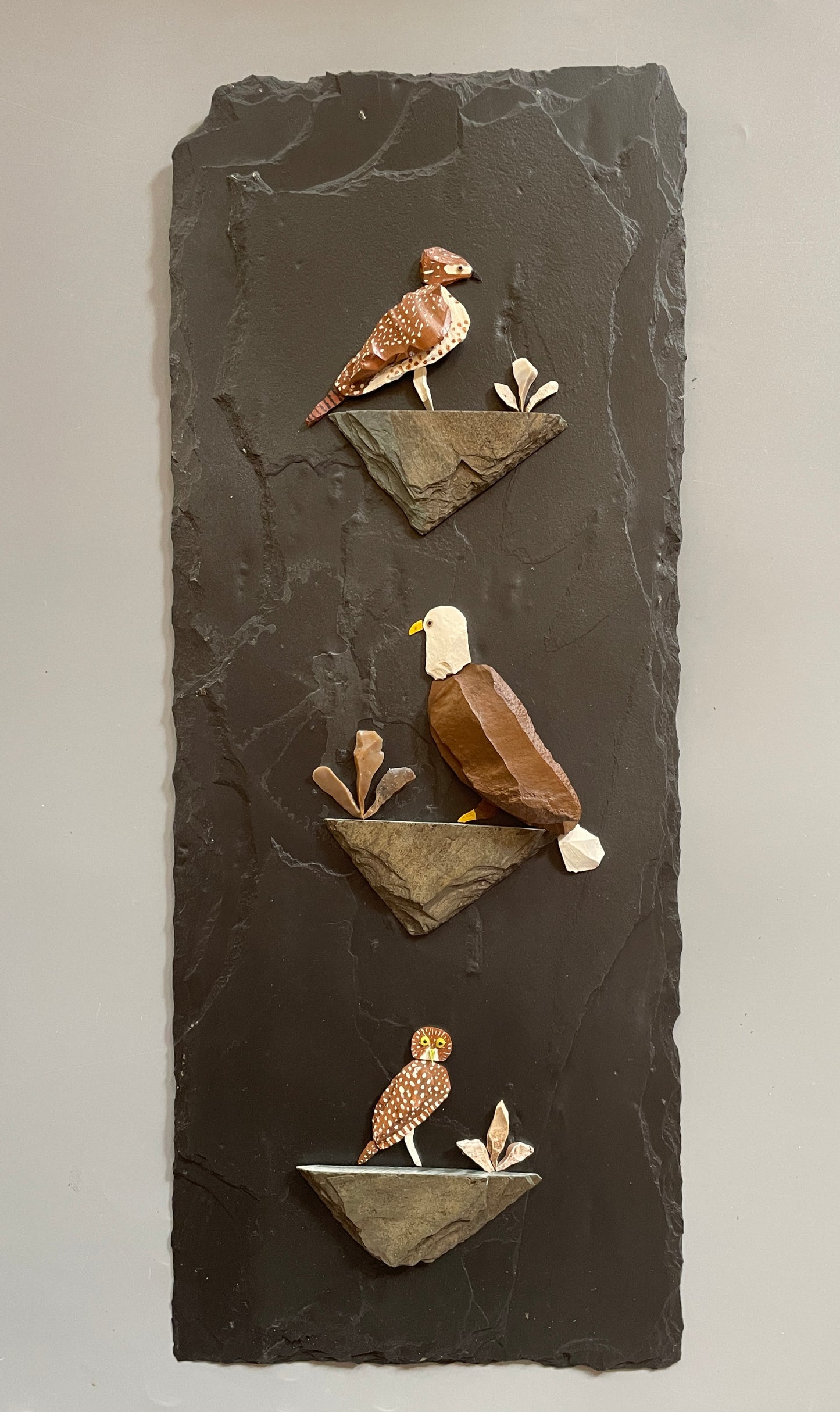 "Birds Of Prey"   #6605