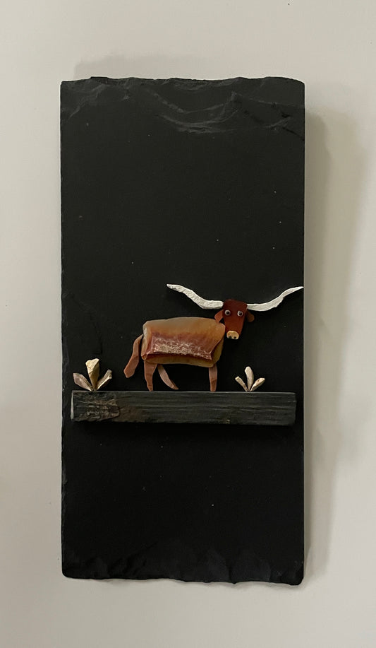 "Longhorn Series"  #7165