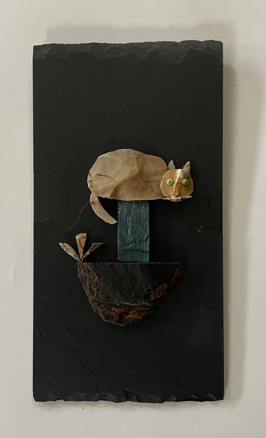 "Cat Series"   #7168