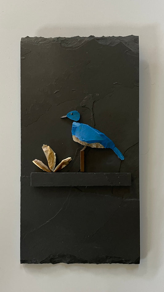 "Bluebird Series"   #7179